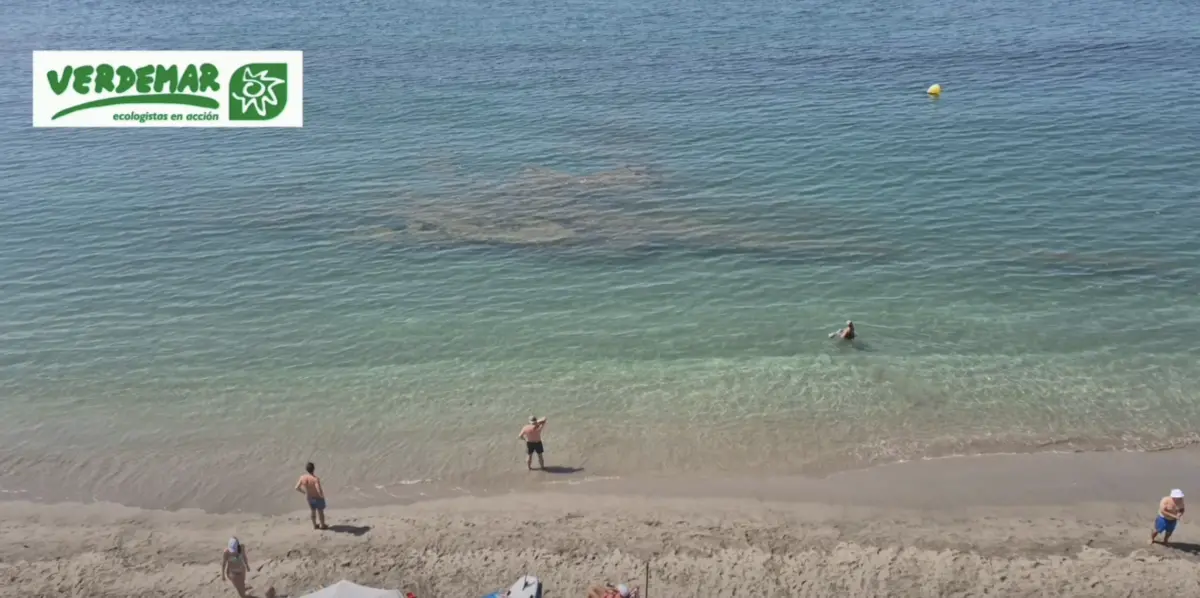 Ecologistas advierten de restos de un "vertido de hidrocarburos" en la playa de Puente Mayorga en San Roque