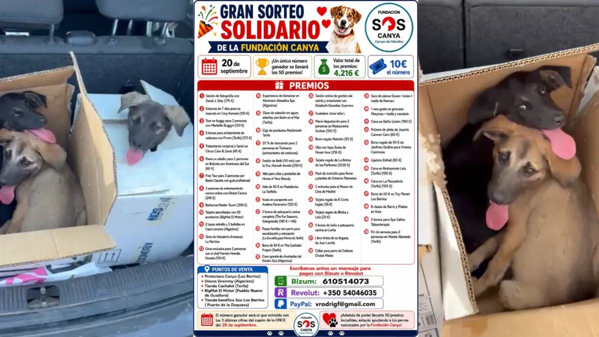 La Perrera de Los Barrios organiza un sorteo solidario con 50 premios en un verano «especialmente duro» de abandono de animales . Imagen elaborada por 8Directo con imágenes de cachorros recientemente abandonados. La Perrera de Los Barrios organiza un sorteo solidario con 50 premios en un verano "especialmente duro" de abandono de animales . Imagen elaborada por 8Directo con imágenes de cachorros recientemente abandonados.